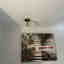 Photos des clients 2 de 2