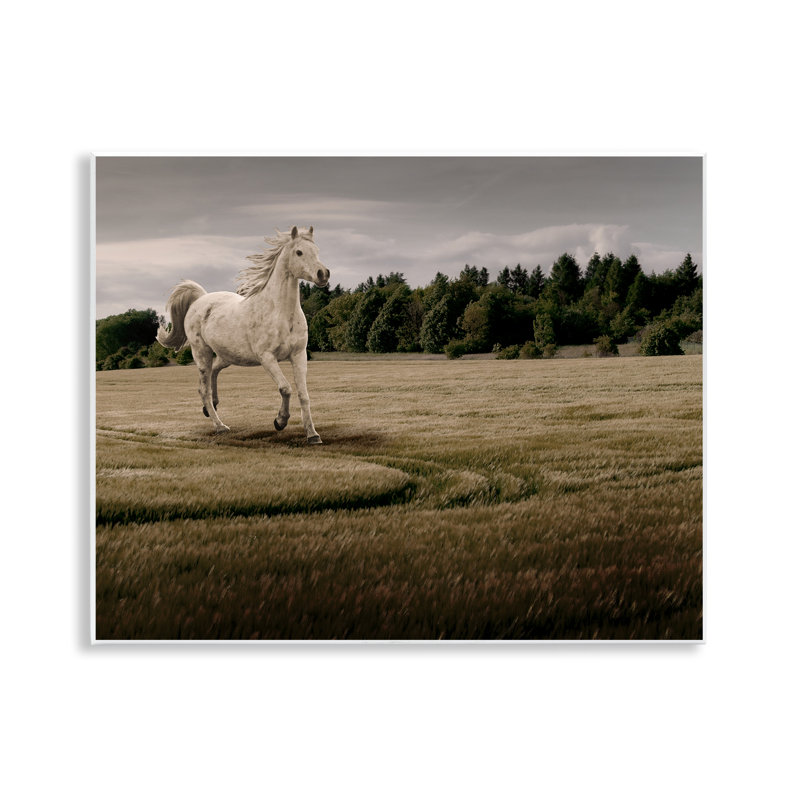 Plaque murale galopant à cheval, design par Marcus Prime