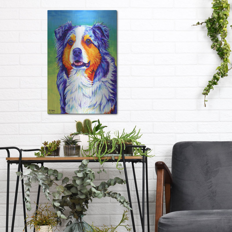 «Blue Merle Australian Shepherd» par Rebecca Wang Art, H 16 po x l 12 po
