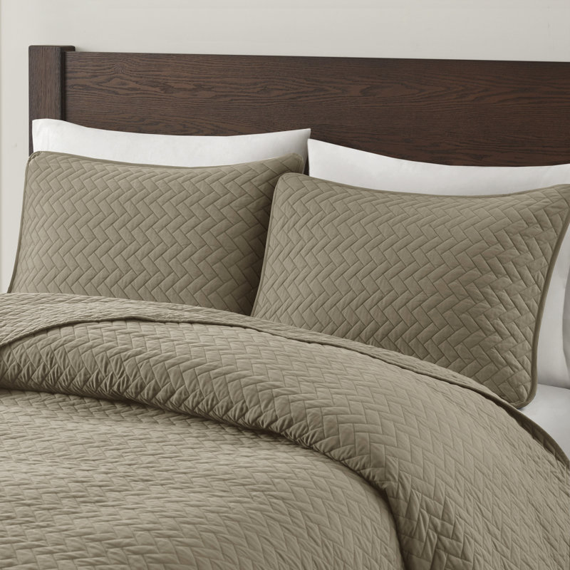 Ensemble de courtepointe 3 pièces Velvet Touch, Couvre-lit grand et 2 taies décoratives, Taupe