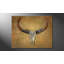 Bull Skull - Wrapped Canvas Print-498920121-499112714