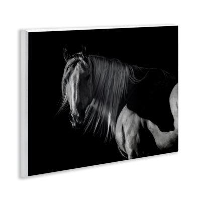 «Stoic Horse in Dark Lighting», art par PHBurchett