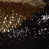 Black/Gold
