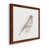 Maple Framed