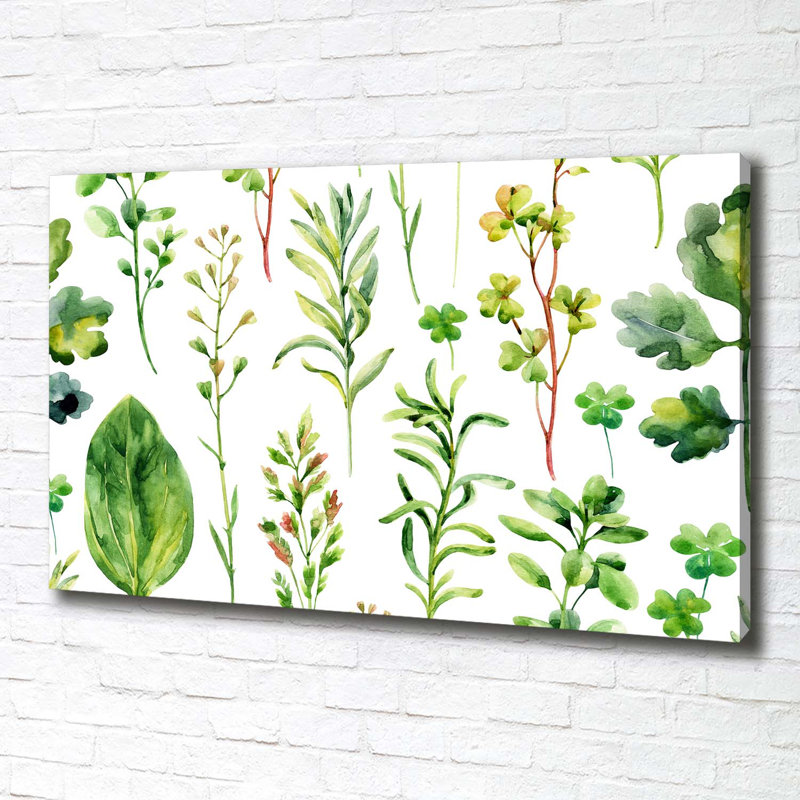 Herbs And Weeds - Wrapped Canvas Print