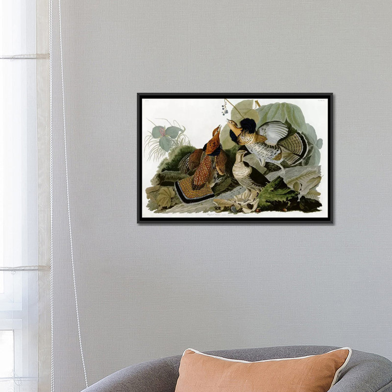 «Ruffed Grouse» par John James Audubon, impression sur toile, H 18 po x l 26 po x P 1,5 po, Toile avec cadre noir
