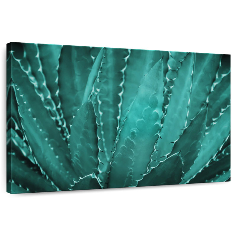 Harnek Prickly Cactus Succulent, 34" H x 51" W