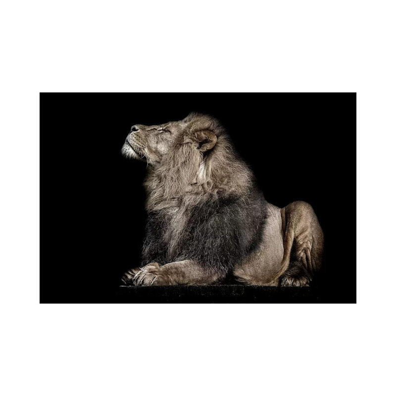 Ignorance by Paul Neville - Gallery-Wrapped Canvas Giclée on Canvas, No Frame, 20.32 cm H x 30.48 cm W