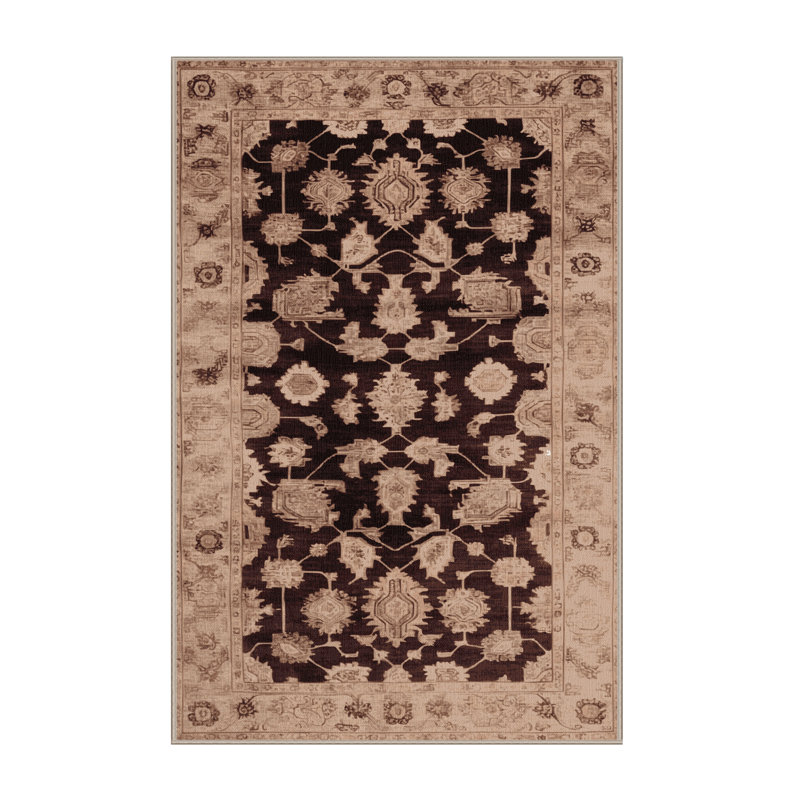 Machine Washable Overdyed Brown Area Rug, Rectangle 2' x 3'