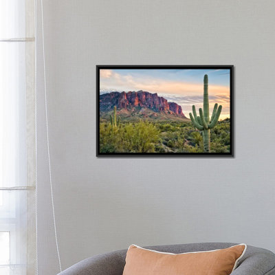" Cacti View II " by David Drost