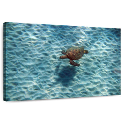 Brampt Underwater Turtle