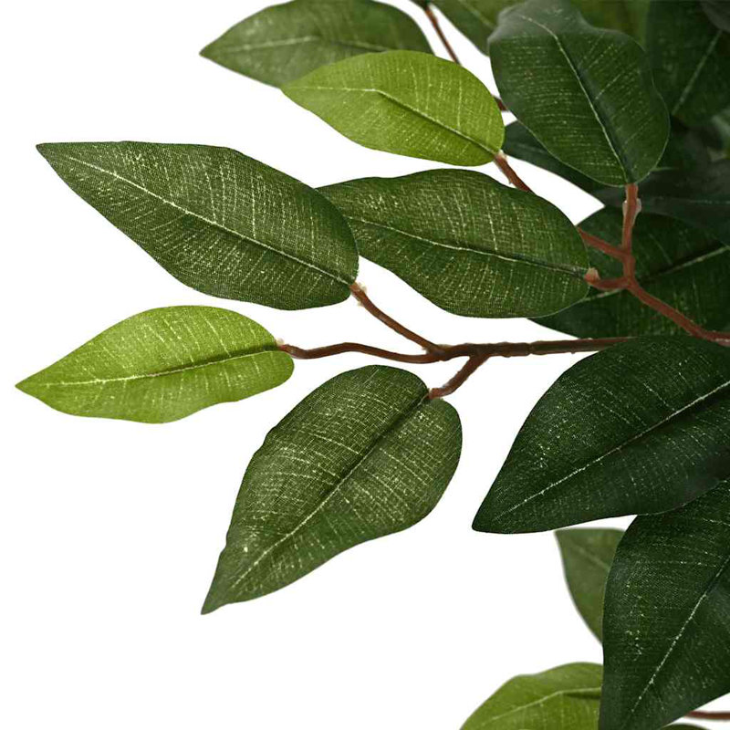 130cm Plant