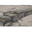 Tapis gris O'Hare-1715820116
