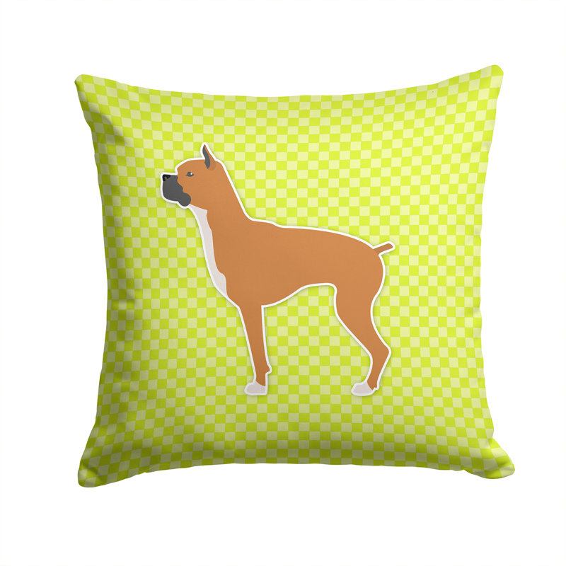 Coussin décoratif intérieur/extérieur boxer, H 14 po x l 14 po x P 3 po, Vert