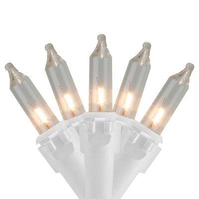 Chessani Outdoor 50 - Bulb 12.5'' Plug-in LED Mini String Light