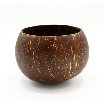 Elyon Handcrafted Large Coconut Bowl Dinnerware Set With Utensils