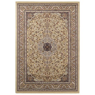 Excellent Oriental Hand Woven Area Rug
