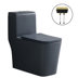 Gray Toilet/Gold Button