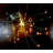 Cluster 75 Light Battery String Light
