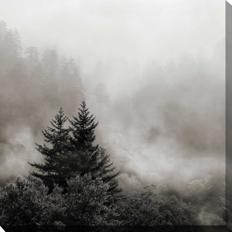 «Rising Mist, Smoky Mountains» par Nicholas Bell - photographie, Toile tendue, H 28 po x l 28 po x P 1,5 po