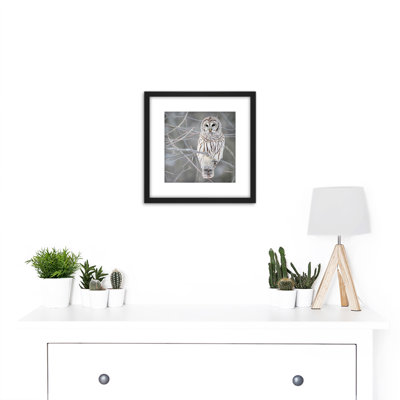 Barred Owl Bird Tree Nature Photo - Single Picture Frame Print