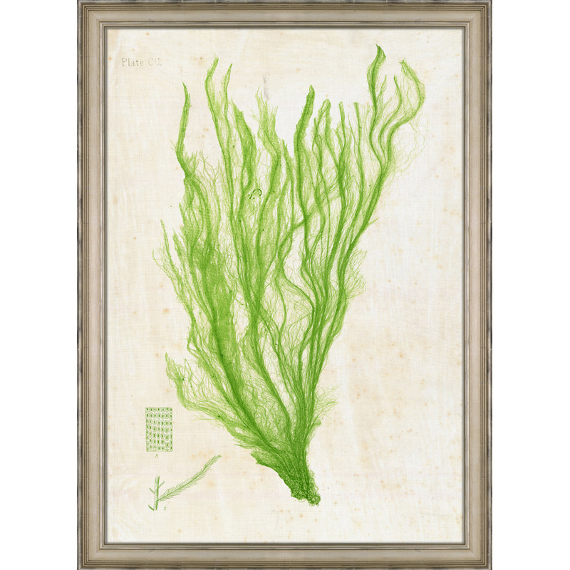 Green Sea Lettuce II Painting