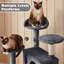 Multilevel  Cat Tree-1102423005