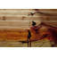 «Surfing The Wave» par Parvez Taj - reproduction sur bois-24273686