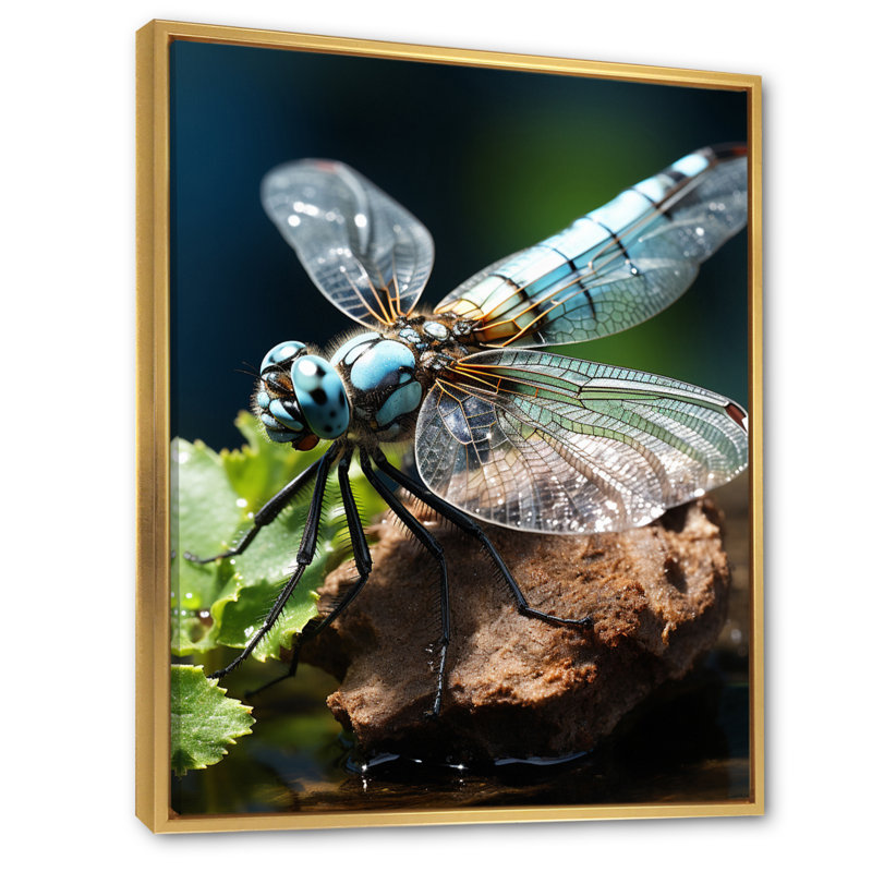 Libellule blanche, vol d'insectes - animaux, impressions sur toile, H 44 po x l 34 po x P 1,5 po, Cadre flottant doré