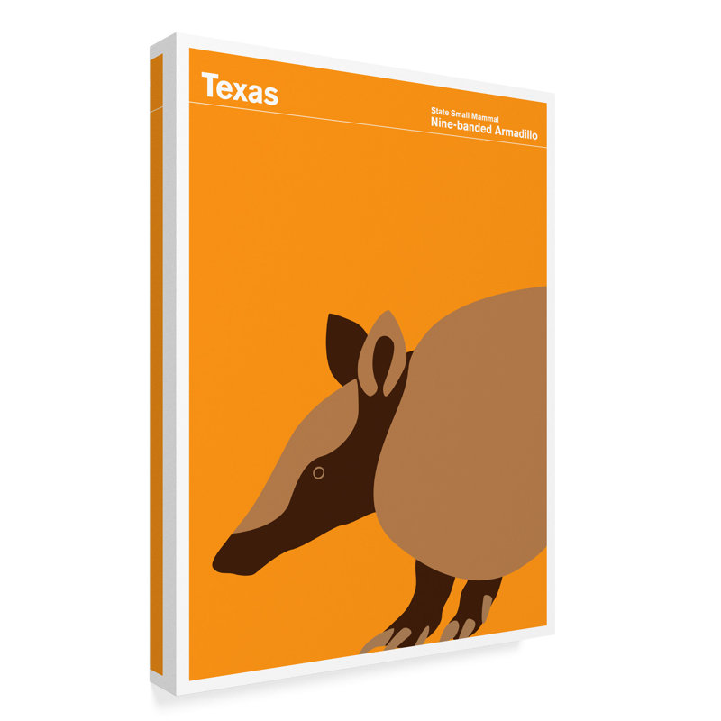 « texas armadillo », reproduction d’impression sur toile tendue, H 32 po x l 24 po x P 2 po