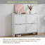 Shoe Storage-47455625