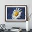 White Daisy Vol.5 Painting - Picture Frame Graphic Art-62765541-62765543