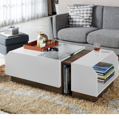 Dichiera Block Coffee Table with Storage