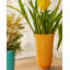Table Vase-1766311002-1766311003
