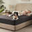 BEDLORE® Noiseless Waterproof Bamboo Mattress Protector, Hypoallergenic 3D Air Fabric Breathable Mattress Cover, Washable Mattress Pad with 6"-18" Deep Pocket-117317056
