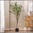 180CM ARTIFICIAL MILAN LEAF BONSAI-1541953067