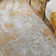 Edgeworth Abstract Machine Woven Cream Gold Area Rug