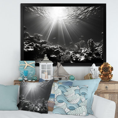 Photo sous-marine en corail noir et blanc - Art mural corail sous l'eau