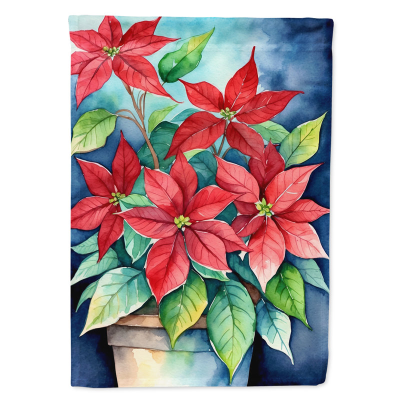 Drapeau d'hypericum ou de millepertuis, Poinsettias