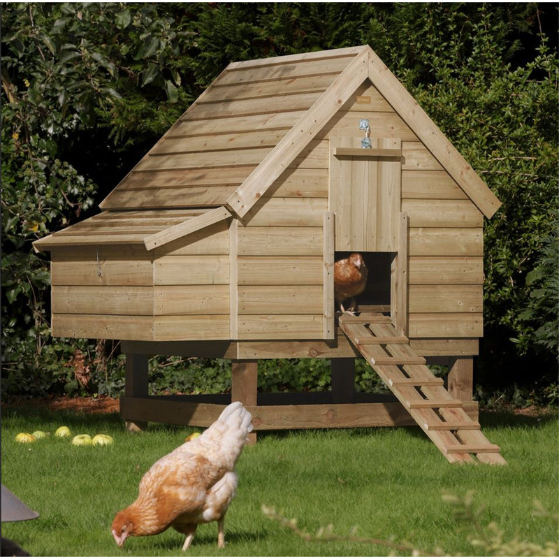 Dax Chicken Coop with Chicken Run For Up To 6 Chickens