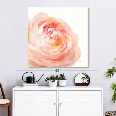 Rose de jardin sur fond blanc