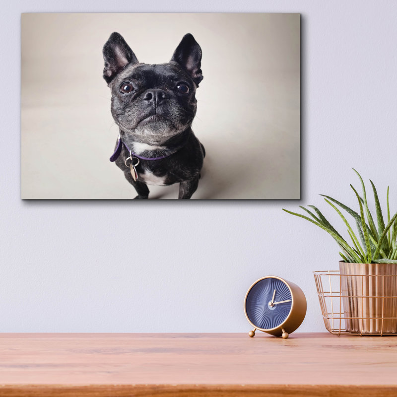 " Bailey " by Susan Sabo, 12" H x 16" W x 0.13" D