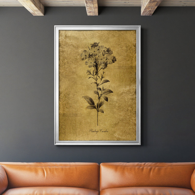 Ameelya, croquis dorés botaniques II, impression sur toile encadrée, Argent, H 26,5 po x l 36,5 po x P 1,5 po