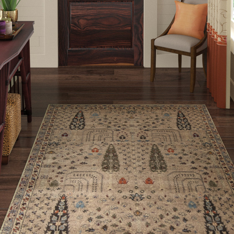Shara Southwestern Indoor Rug