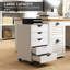 Mileno 5 Drawer Filing Cabinet-1000595564