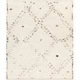 Wool Area Rug in Beige