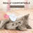 Cat Grooming Hair Cleaning Brush For Dogs And Cats-111649949