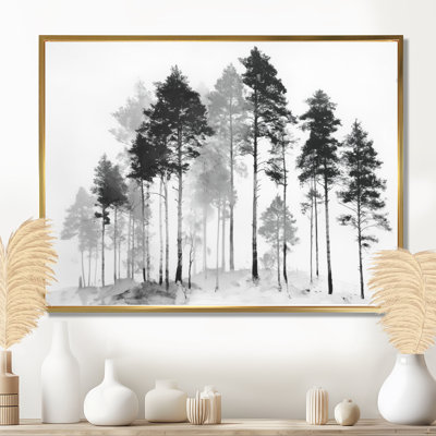 «Black and White Tall Pine Tree Forest», art sur toile, art naturel noir