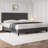 Kelner Upholstered Open-Frame Bed-76618944