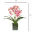 Faux Orchid Plant In White Vase-1999902368